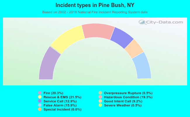 Incident types in Pine Bush, NY
