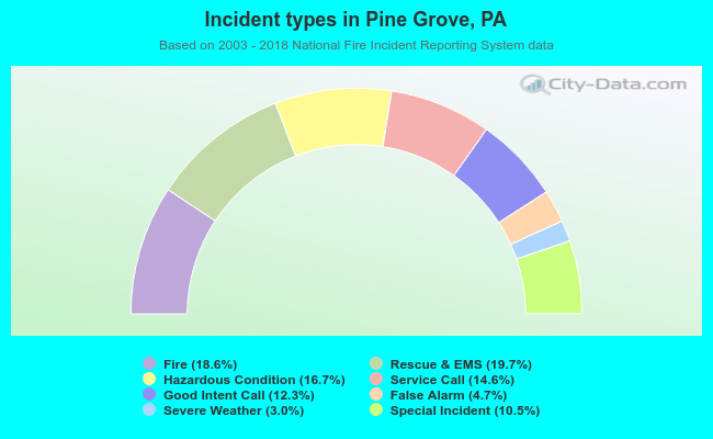 Incident types in Pine Grove, PA