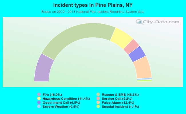 Incident types in Pine Plains, NY