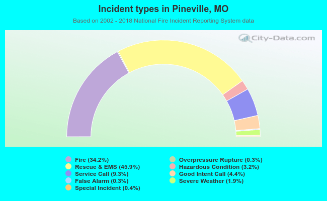 Incident types in Pineville, MO