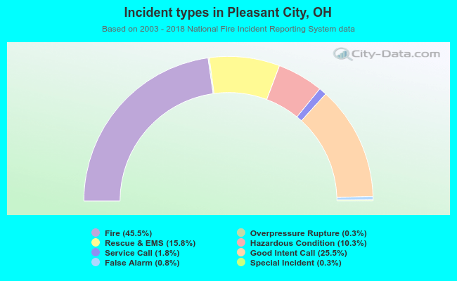 Incident types in Pleasant City, OH