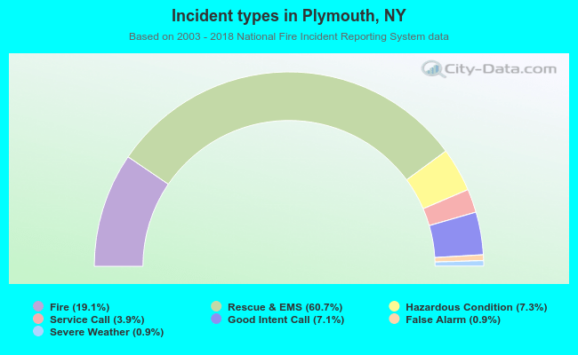 Incident types in Plymouth, NY