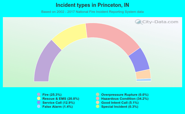 Incident types in Princeton, IN