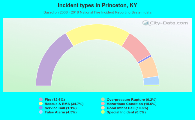 Incident types in Princeton, KY