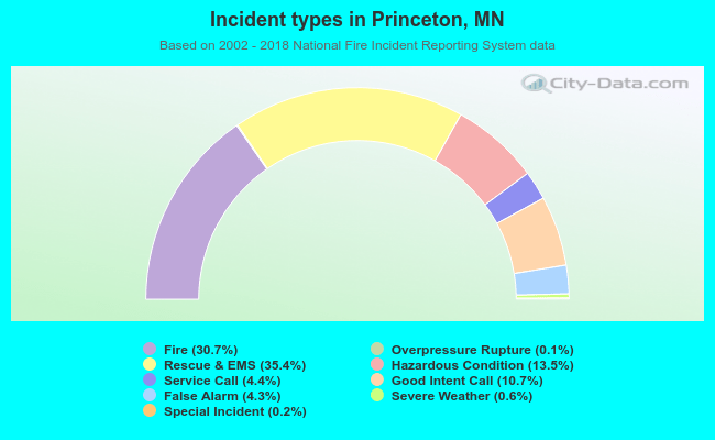 Incident types in Princeton, MN
