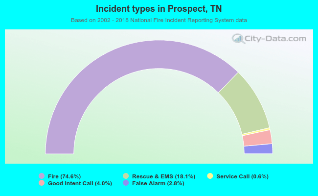 Incident types in Prospect, TN