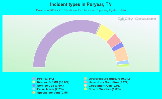 Incident types in Puryear, TN