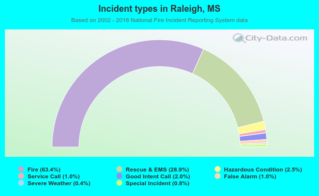Incident types in Raleigh, MS