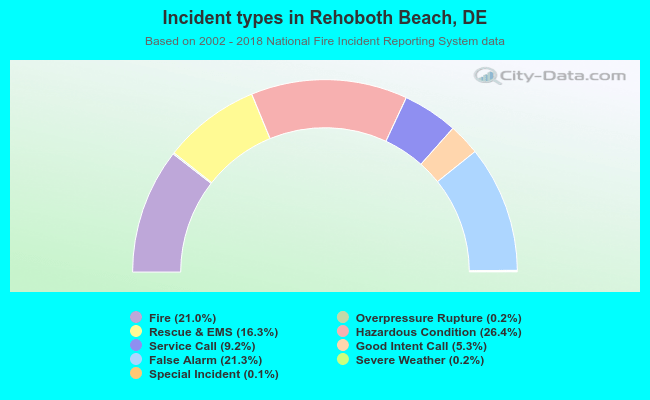 Incident types in Rehoboth Beach, DE