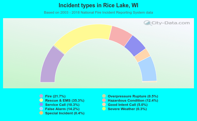 Incident types in Rice Lake, WI