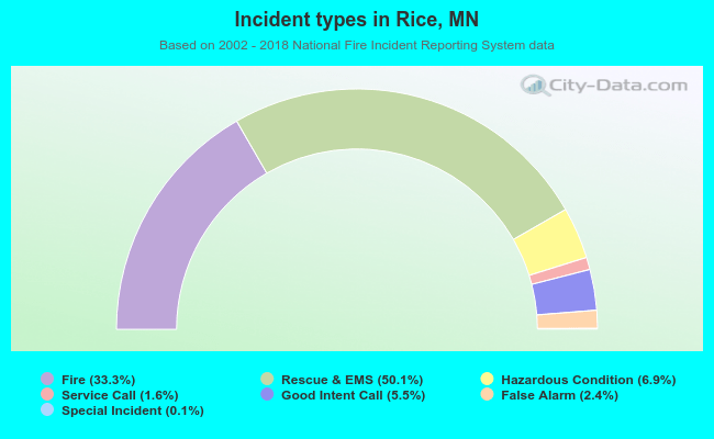 Incident types in Rice, MN