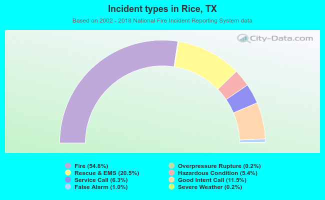 Incident types in Rice, TX