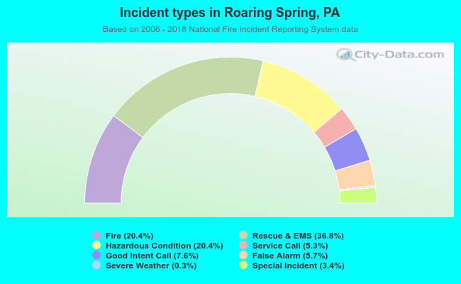 Incident types in Roaring Spring, PA