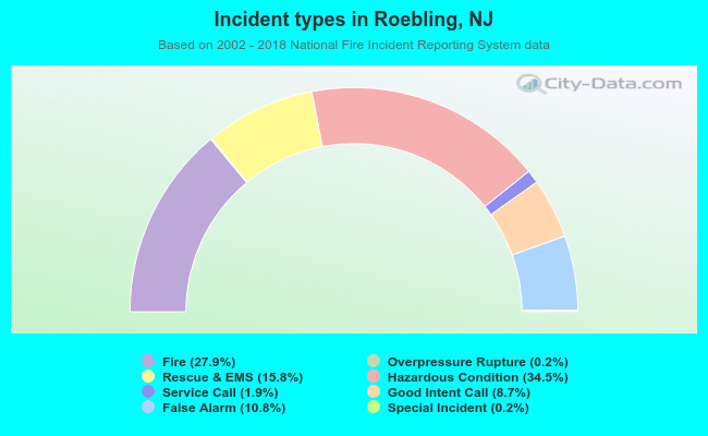 Incident types in Roebling, NJ