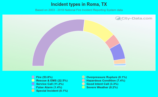 Incident types in Roma, TX