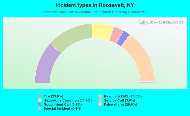 Incident types in Roosevelt, NY