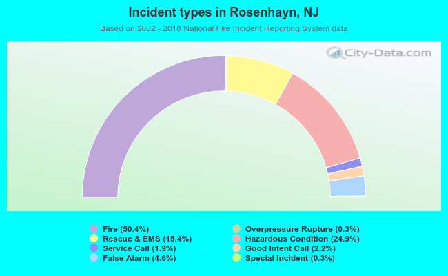 Incident types in Rosenhayn, NJ