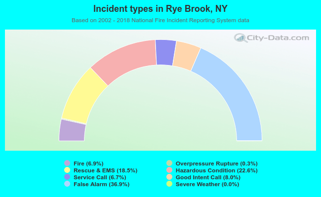 Incident types in Rye Brook, NY