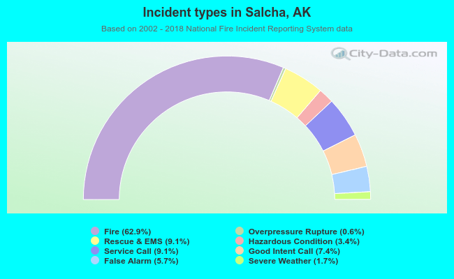 Incident types in Salcha, AK