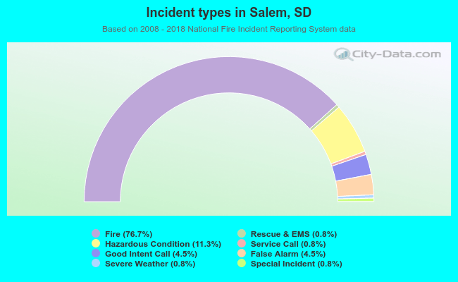 Incident types in Salem, SD