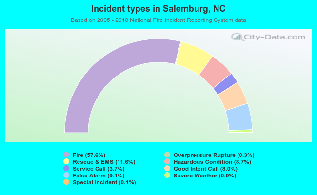 Incident types in Salemburg, NC