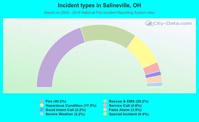 Incident types in Salineville, OH