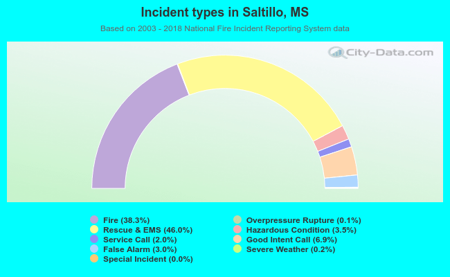 Incident types in Saltillo, MS