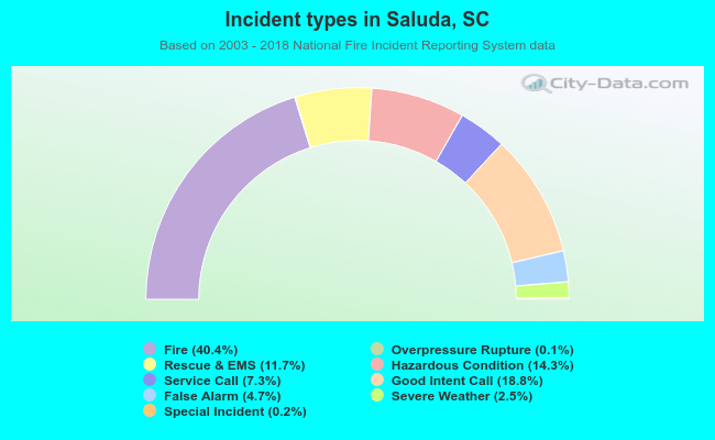 Incident types in Saluda, SC