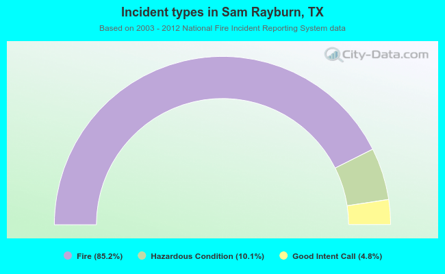 Incident types in Sam Rayburn, TX