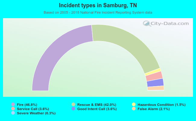 Incident types in Samburg, TN