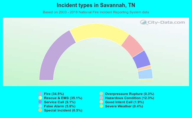 Incident types in Savannah, TN