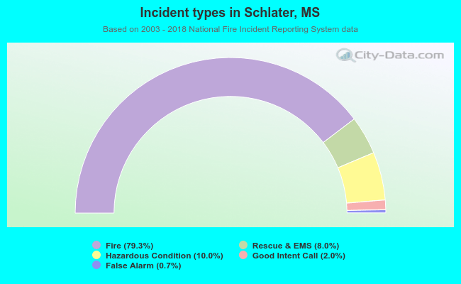 Incident types in Schlater, MS