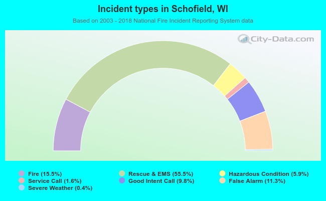 Incident types in Schofield, WI