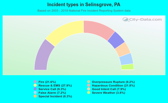 Incident types in Selinsgrove, PA