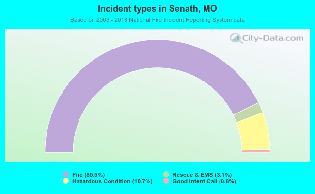 Incident types in Senath, MO