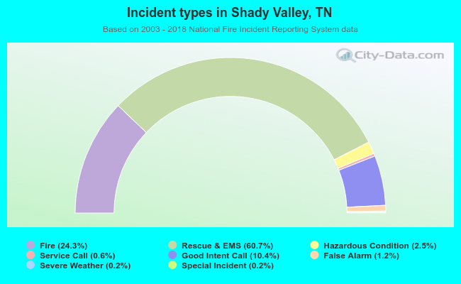 Incident types in Shady Valley, TN
