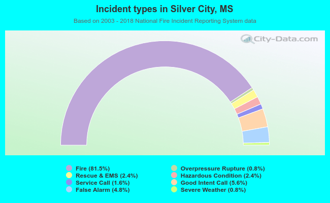 Incident types in Silver City, MS