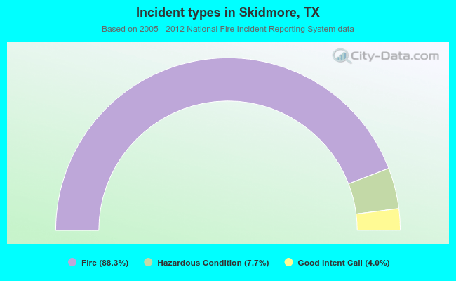 Incident types in Skidmore, TX