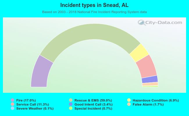 Incident types in Snead, AL