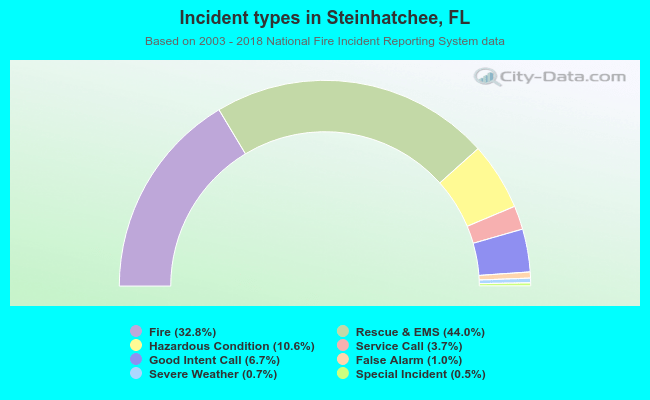 Incident types in Steinhatchee, FL