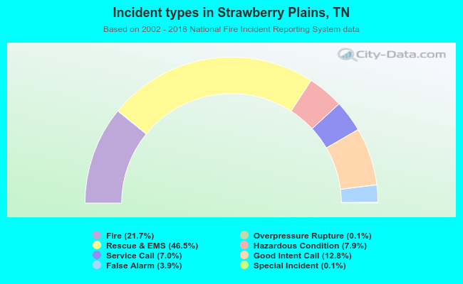 Incident types in Strawberry Plains, TN