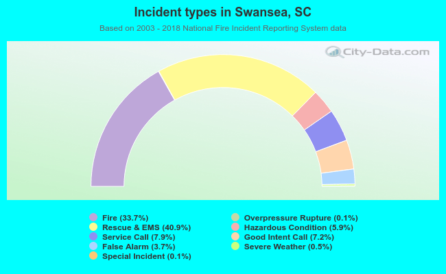 Incident types in Swansea, SC