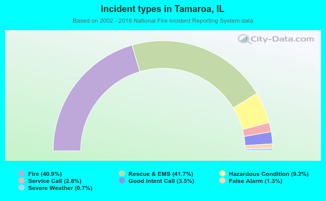 Incident types in Tamaroa, IL