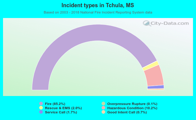 Incident types in Tchula, MS