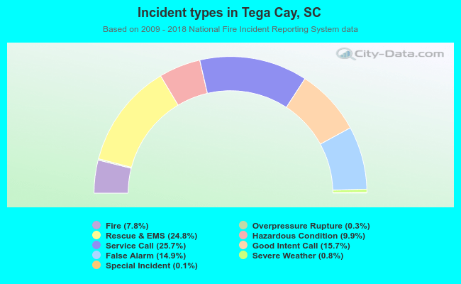 Incident types in Tega Cay, SC