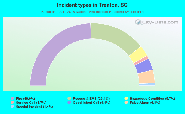 Incident types in Trenton, SC