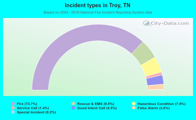 Incident types in Troy, TN