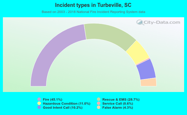 Incident types in Turbeville, SC