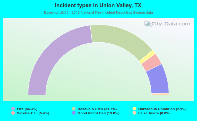 Incident types in Union Valley, TX