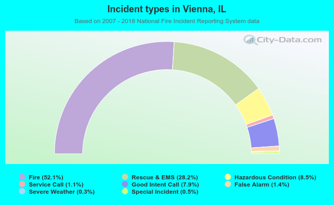 Incident types in Vienna, IL